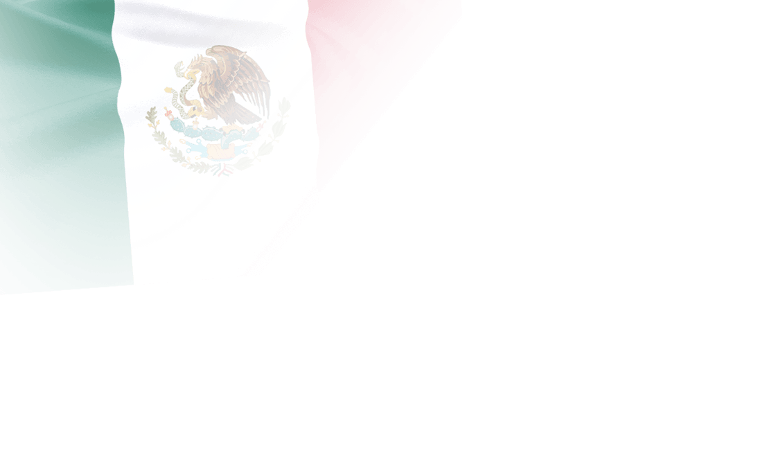 Teamflag-MEX