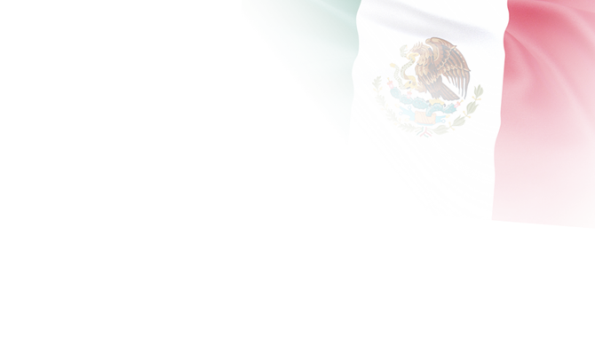 Teamflag-MEX